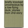 Briefly Knocked Unconscious by a Low-Flying Duck: Stories from 2nd Story by Matt Miller