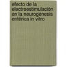 Efecto de la Electroestimulación en la Neurogénesis Entérica In Vitro door Alfonso CarreóN. Rodríguez