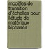 Modèles de transition d'échelles pour l'étude de matériaux biphasés