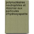 Polynucléaires neutrophiles et réponse aux particules d'hydroxyapatite