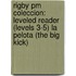 Rigby Pm Coleccion: Leveled Reader (levels 3-5) La Pelota (the Big Kick)
