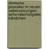 Römische Prosaiker in neuen Uebersetzungen. Achundachtzigstes Bändchen