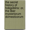 The Secret History of Hobgoblins: Or, the Liber Mysteriorum Domesticorum door Professor Ari Berk