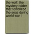 The Wolf: The Mystery Raider That Terrorized The Seas During World War I