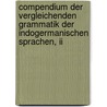Compendium Der Vergleichenden Grammatik Der Indogermanischen Sprachen, Ii door August Schleicher