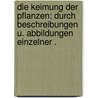 Die Keimung der Pflanzen: Durch Beschreibungen U. Abbildungen einzelner . by August Tittmann Johann