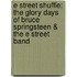 E Street Shuffle: The Glory Days of Bruce Springsteen & the E Street Band