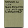Extraction de motifs spatio-temporels dans des images de télédétection door Andreea Maria Julea