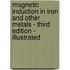 Magnetic Induction in Iron and Other Metals - Third Edition - Illustrated