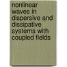 Nonlinear Waves In Dispersive And Dissipative Systems With Coupled Fields door Sergei Korsunsky