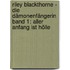 Riley Blackthorne - Die Dämonenfängerin Band 1: Aller Anfang ist Hölle