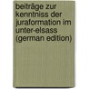 Beiträge Zur Kenntniss Der Juraformation Im Unter-Elsass (German Edition) by Lepsius Richard