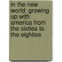 In the New World: Growing Up with America from the Sixties to the Eighties
