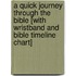 A Quick Journey Through the Bible [With Wristband and Bible Timeline Chart]