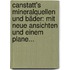 Canstatt's Mineralquellen Und Bäder: Mit Neue Ansichten Und Einem Plane...