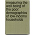 Measuring the Well-Being of the Poor: Demographics of Low-Income Households