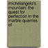 Michelangelo's Mountain: The Quest for Perfection in the Marble Quarries of