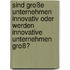 Sind große Unternehmen innovativ oder werden innovative Unternehmen groß?
