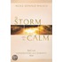 The Storm Before The Calm: Book 1 In The Conversations With Humanity Series
