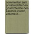 Commentar Zum Privatrechtlichen Gesetzbuche Des Kantons Zürich, Volume 2...