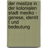 Der Mestize in Der Kolonialen Stadt Mexiko - Genese, Identit T Und Bedeutung door Arndt Schmidt