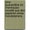 Eine Quarantäne im Irrenhause: Novelle aus den Papieren eines Mondsteiners. door Ferdinand Gustav Kühne