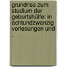 Grundriss zum Studium der Geburtshülfe: In achtundzwanzig Vorlesungen und . by Bumm Ernst
