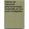 L'Abime de L'Epreuve: Phenomenologie Materielle En Son Archi-Intelligibilite door Rolf Kuehn