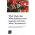 What Works Best When Building Partner Capacity and Under What Circumstances?