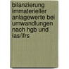 Bilanzierung Immaterieller Anlagewerte Bei Umwandlungen Nach Hgb Und Ias/ifrs door Michael Gille