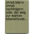 Christi Bild In Christi Nachfolgern: Oder, Der Weg Zur Wahren Lebensfreude...