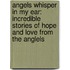 Angels Whisper in My Ear: Incredible Stories of Hope and Love from the Anglels