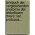 Lehrbuch Der Vergleichenden Anatomie Der Wirbellosen Thiere: Lief. Protozoa...