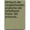 Lehrbuch Der Vergleichenden Anatomie Der Wirbellosen Thiere: Lief. Protozoa... by Arnold Lang