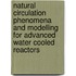 Natural Circulation Phenomena and Modelling for Advanced Water Cooled Reactors