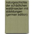 Naturgeschichte Der Schädlichen Waldinsecten Mit Abbildungen (German Edition)