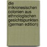 Die Mikronesischen Colonien Aus Ethnologischen Gesichtspunkten (German Edition)