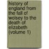 History of England from the Fall of Wolsey to the Death of Elizabeth (Volume 1)