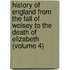 History of England from the Fall of Wolsey to the Death of Elizabeth (Volume 4)