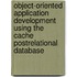 Object-Oriented Application Development Using the Cache Postrelational Database