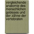 Vergleichende Anatomie des menschlichen Gebisses und der Zähne der Vertebraten