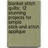 Blanket Stitch Quilts: 12 Stunning Projects for Simple Stick-And-Stitch Applique