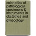 Color Atlas of Pathological Specimens & Instruments in Obstetrics and Gynecology