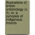 Illustrations of British Entomology (V. 4); Or, a Synopsis of Indigenous Insects
