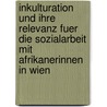 Inkulturation Und Ihre Relevanz Fuer Die Sozialarbeit Mit Afrikanerinnen in Wien door Julia Heneis