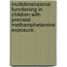 Multidimensional Functioning in Children with Prenatal Methamphetamine Exposure. door Cynthia L. Hackathorn