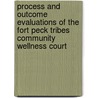 Process and Outcome Evaluations of the Fort Peck Tribes Community Wellness Court door Karen Gottlieb