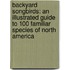 Backyard Songbirds: An Illustrated Guide to 100 Familiar Species of North America