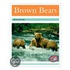 Brown Bears Pm Non Fiction Animal Facts Level 18&19 Animals In The Wild Turquoise