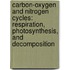 Carbon-Oxygen And Nitrogen Cycles: Respiration, Photosynthesis, And Decomposition